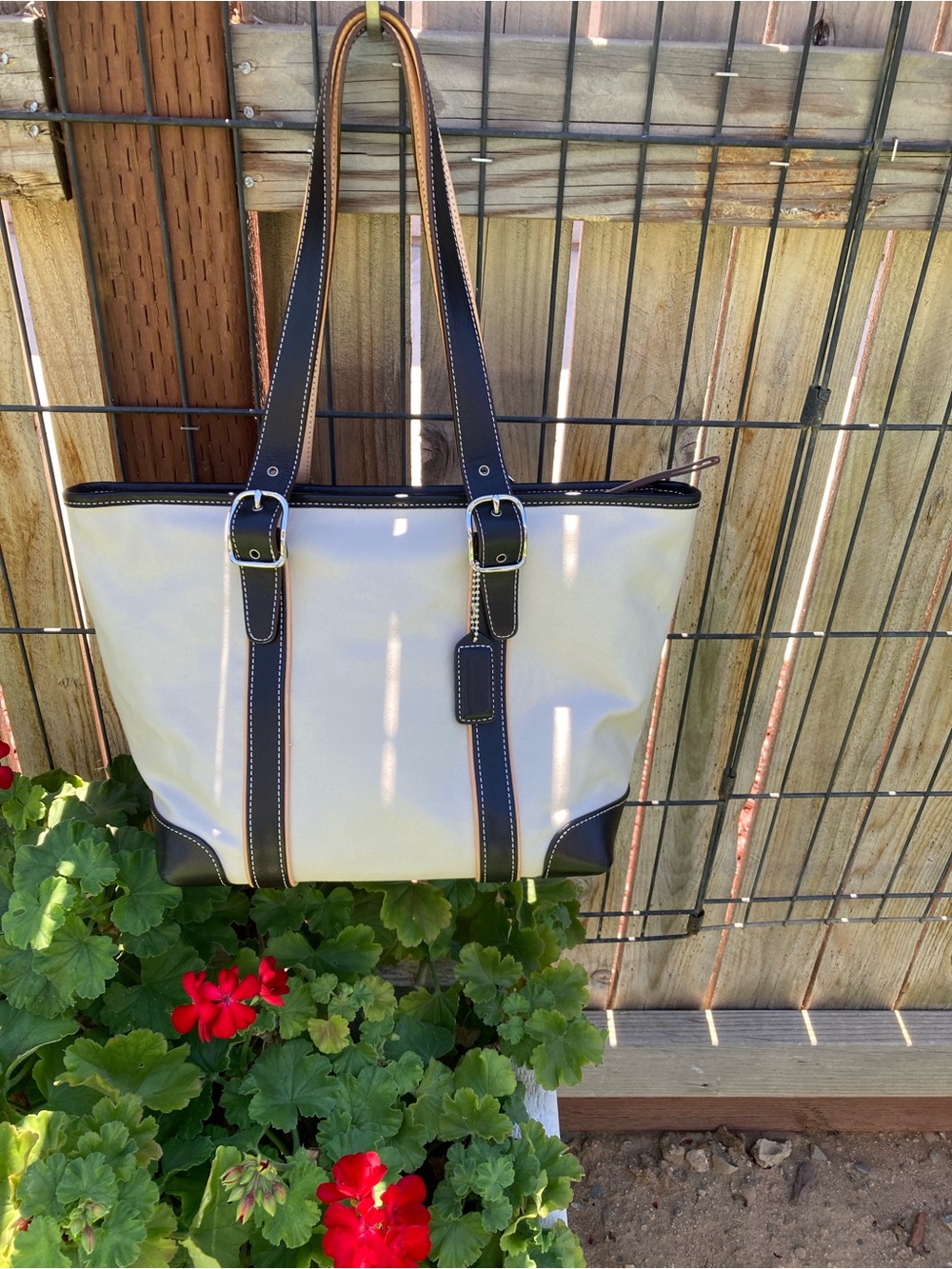 Coach Canvas Tote with Leather Reversible Leather Buckle Handles